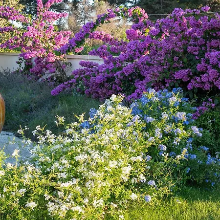 Livantea Agriresort E 4*