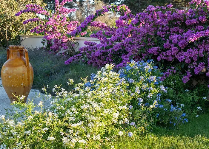 Livantea Agriresort E 4*