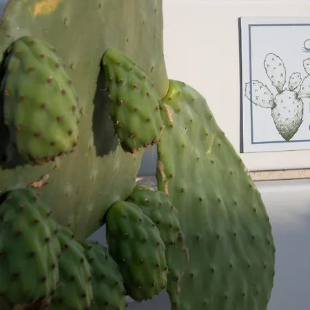 Livantea Agriresort E Otranto