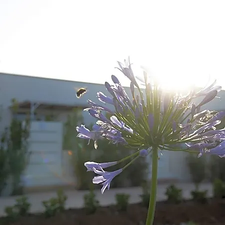 Livantea Agriresort E Otranto