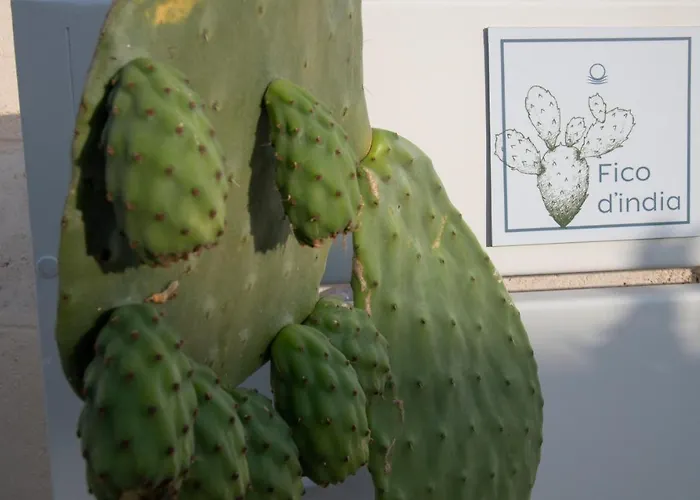 Livantea Agriresort E Otranto